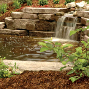 rosetta outcropping collection