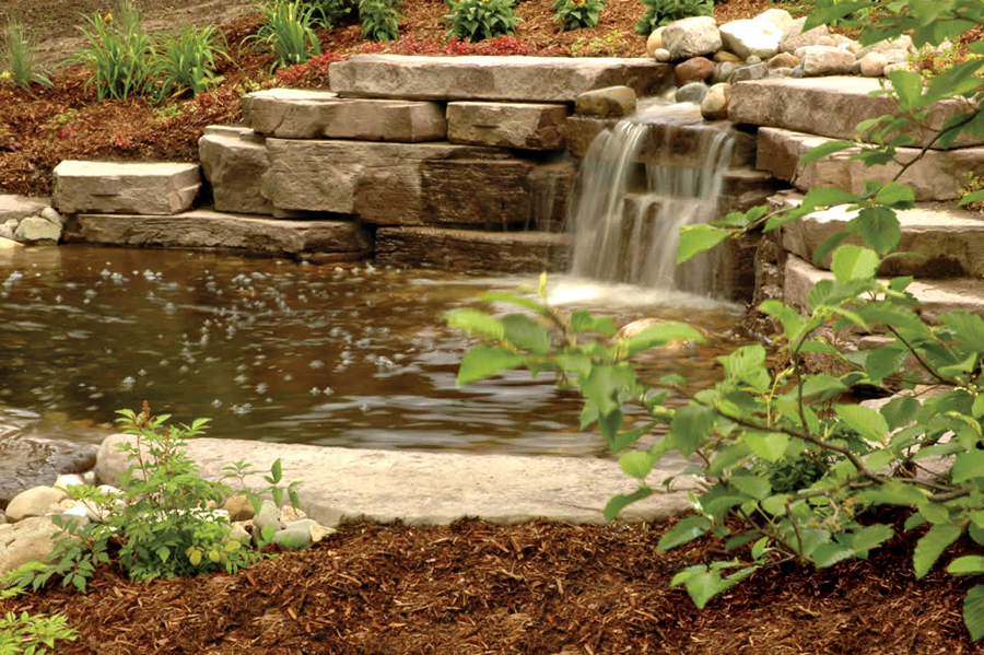 Rosetta–OutcroppingCollection rosetta outcropping collection